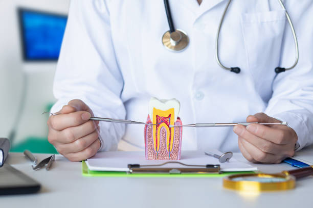 Best Weekend Emergency Dentist in Eureka, CA